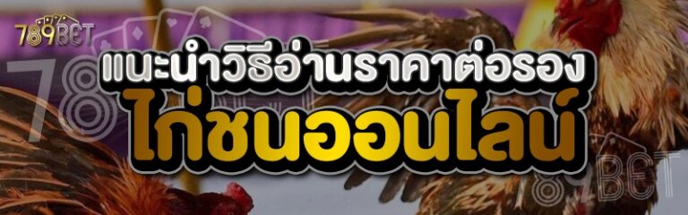 แนะนำวิธีอ่านราคาต่อรองไก่ชนออนไลน์